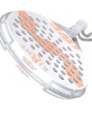 PALA VARLION LW CARBON 8 PANSY